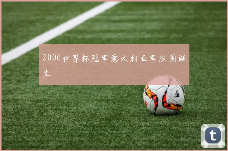 2006世界杯冠军意大利亚军法国诞生