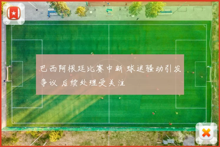 巴西阿根廷比赛中断 球迷骚动引发争议 后续处理受关注