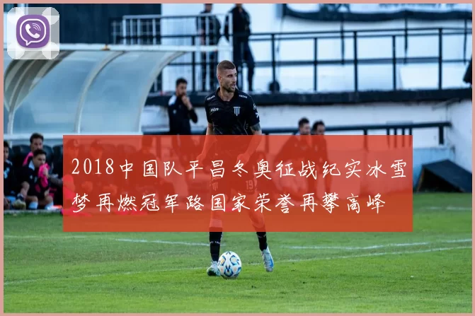 2018中国队平昌冬奥征战纪实冰雪梦再燃冠军路国家荣誉再攀高峰