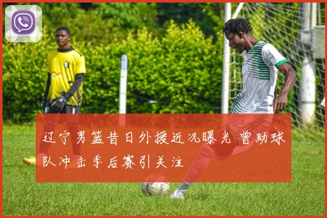 辽宁男篮昔日外援近况曝光 曾助球队冲击季后赛引关注