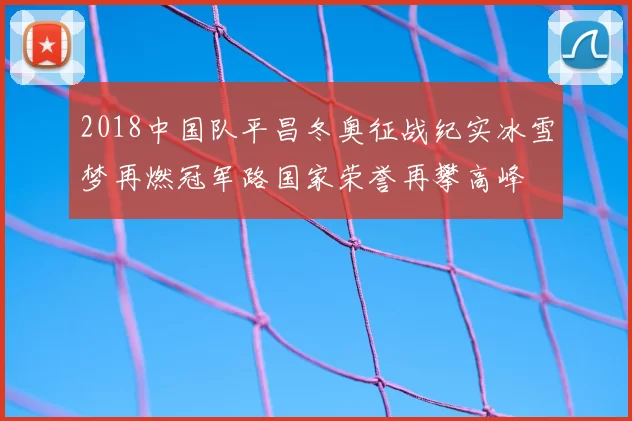 2018中国队平昌冬奥征战纪实冰雪梦再燃冠军路国家荣誉再攀高峰